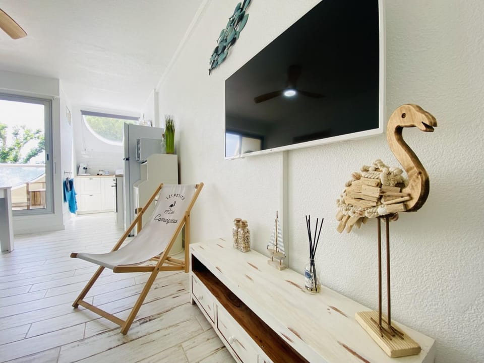 TV and multimedia