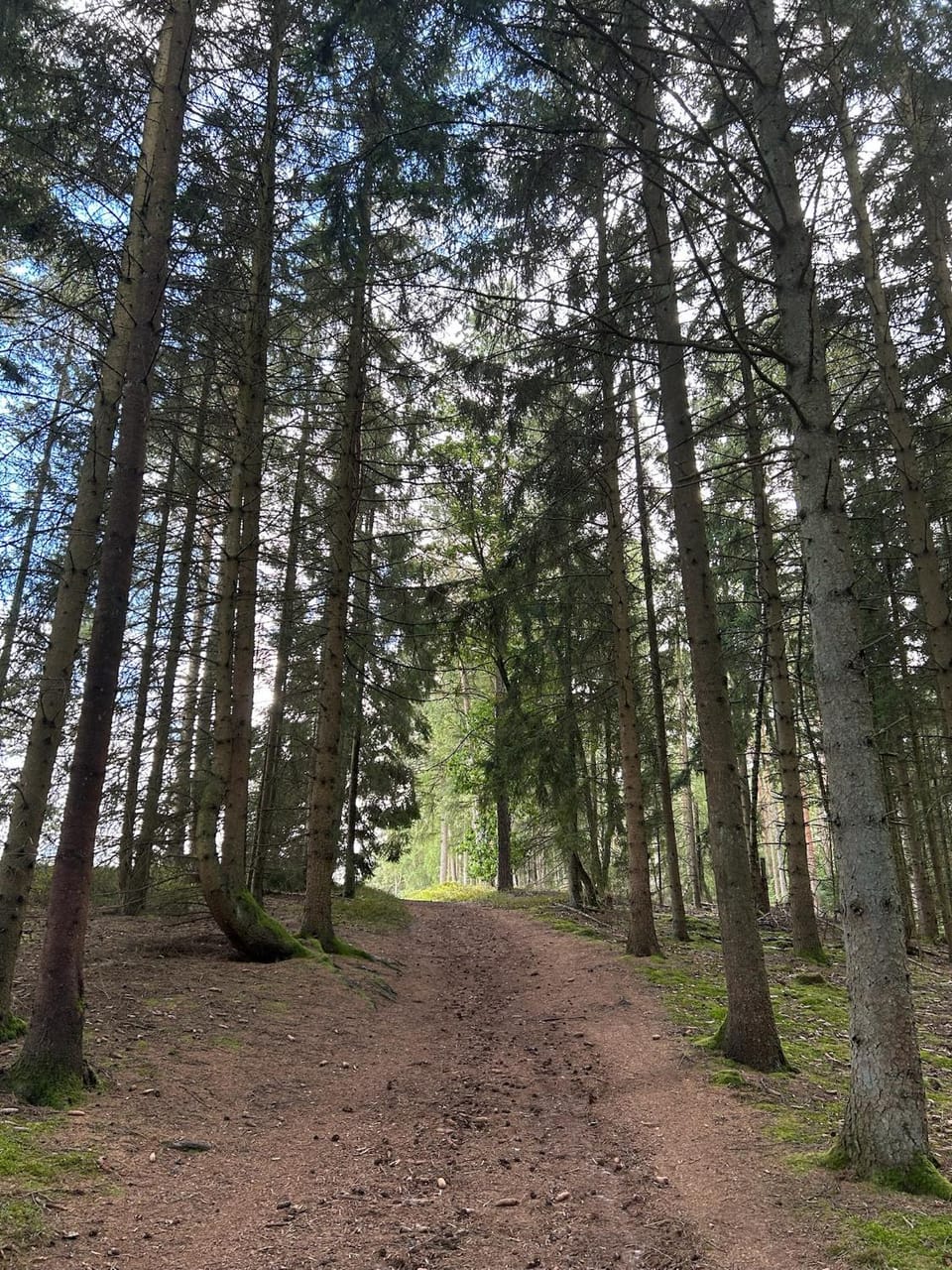 Natural landscape, Hiking, Cycling