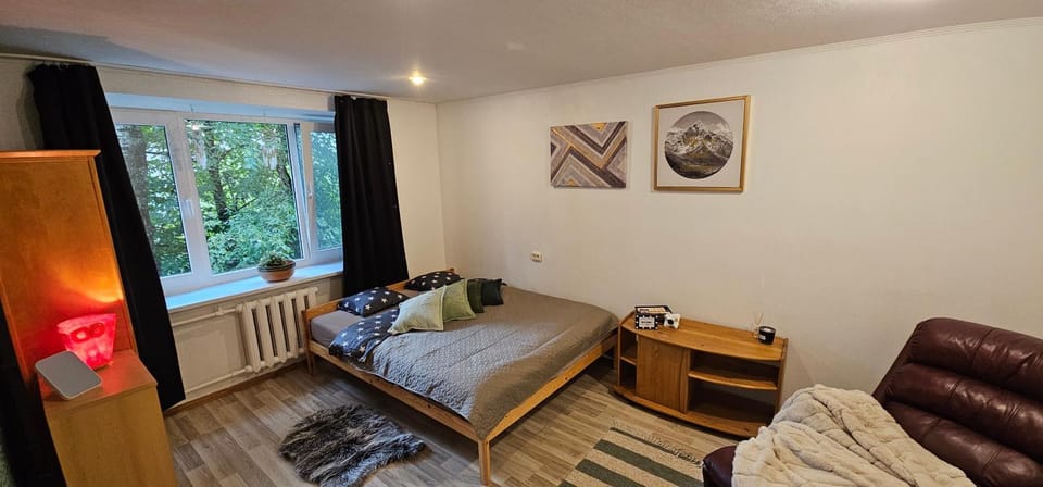Bed, Photo of the whole room, Seating area, Bedroom