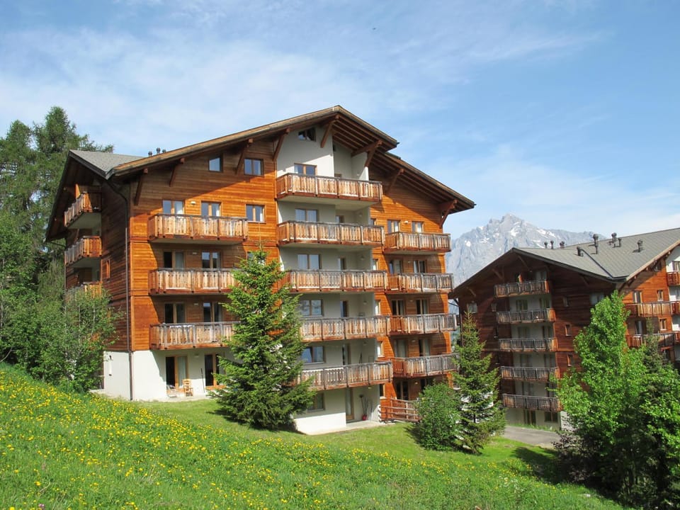 Wohnung COMBE NEND202 Ski in and Ski out Apartment in Nendaz