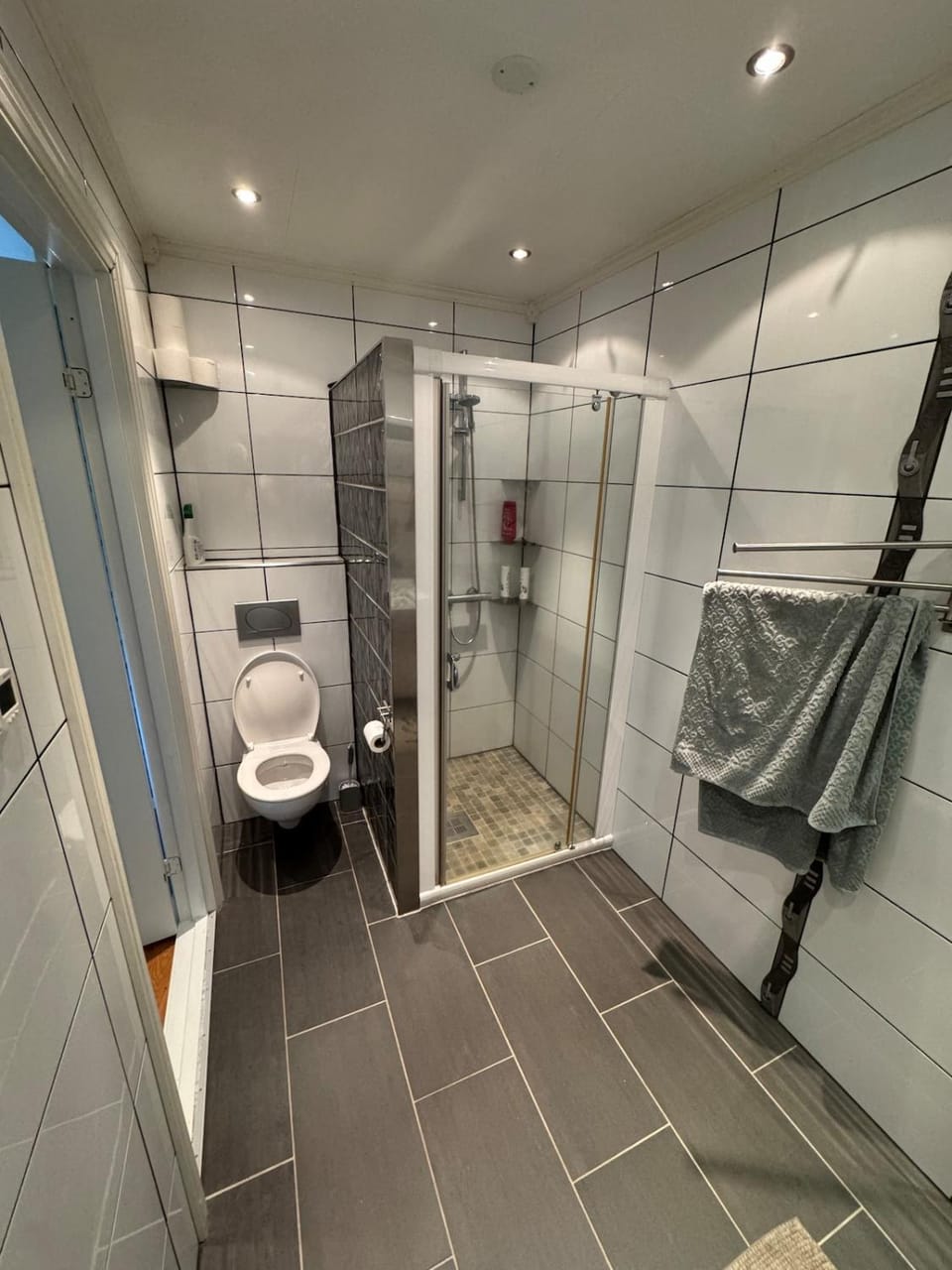 Shower, Toilet, Bathroom, towels
