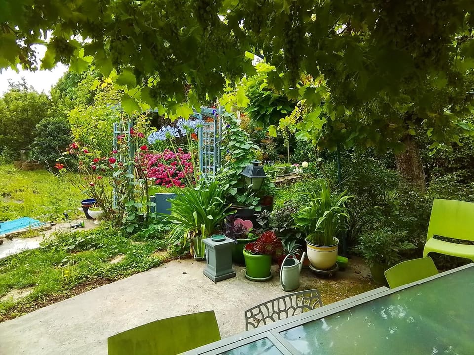 Patio, Garden, Garden, Balcony/Terrace, Garden view