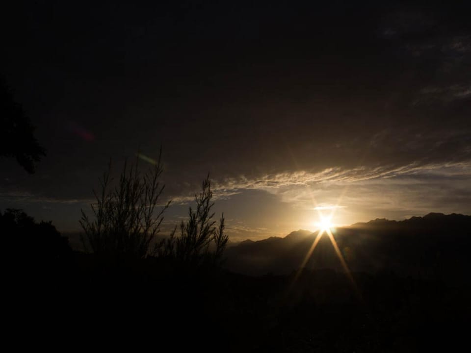 Sunrise