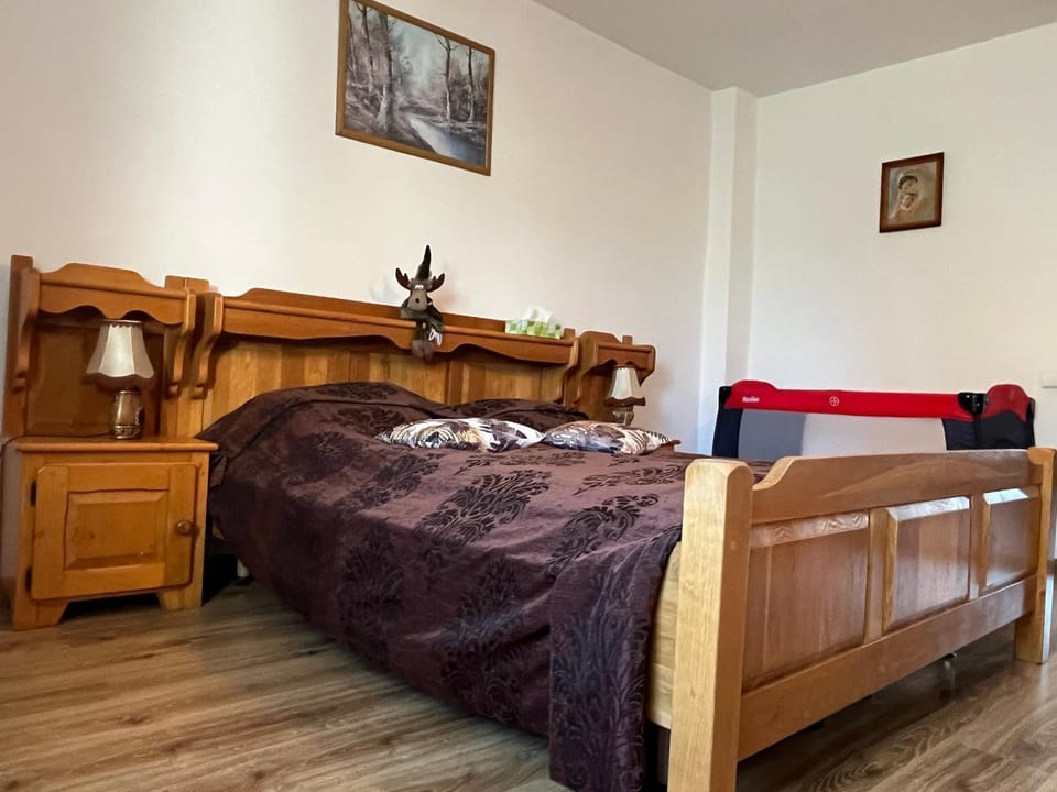 Apartamenty u Natana Apartment in Lower Silesian Voivodeship