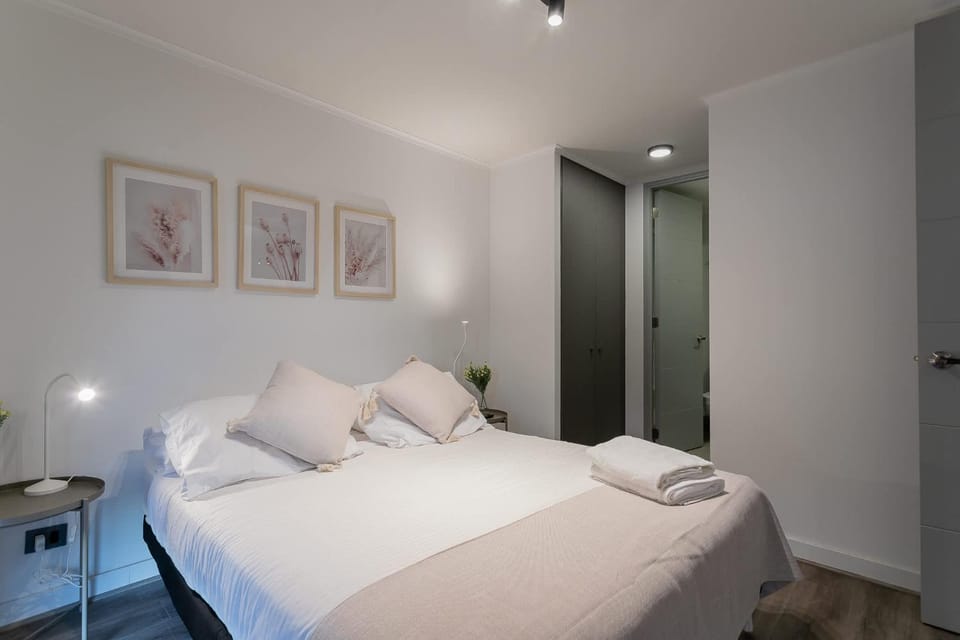 Luminous Apartment for 5 Ricardo Lyon Apartment in Providencia