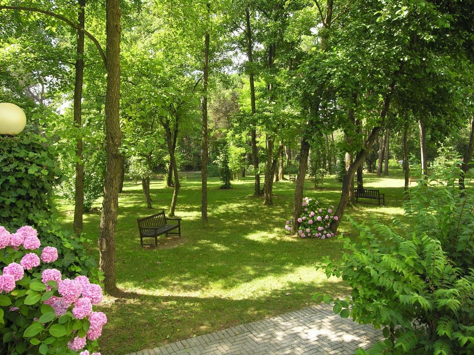 Spring, Day, Day, Summer, Garden, Garden, Autumn, On site