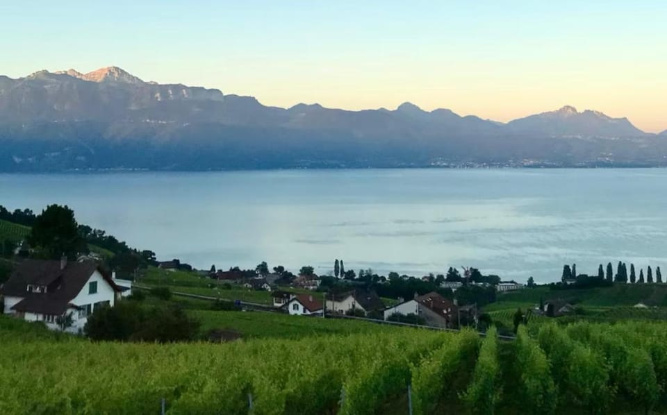 2 pièces vue Lac Lutry, Lausanne avec grande Terrasse Apartment in Lausanne