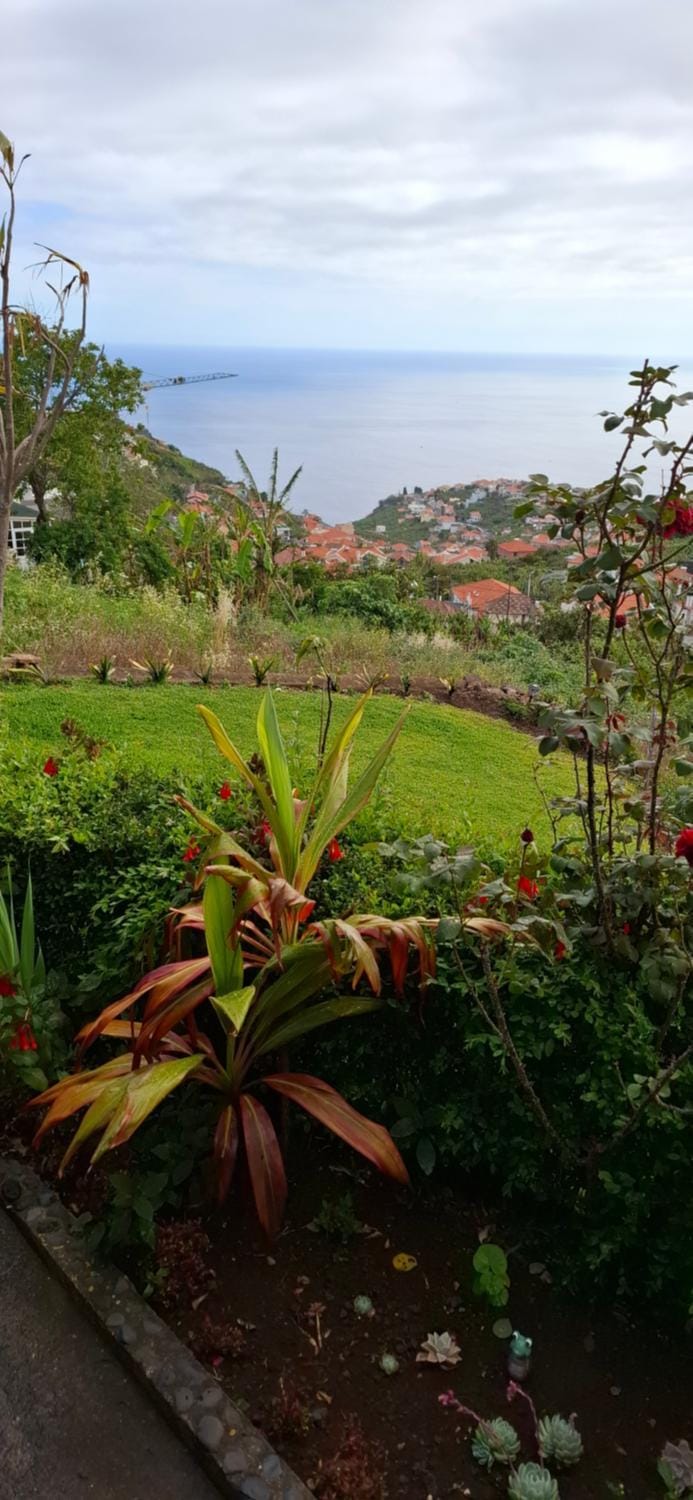 Spring, Day, Natural landscape, Garden, Garden view, Sea view
