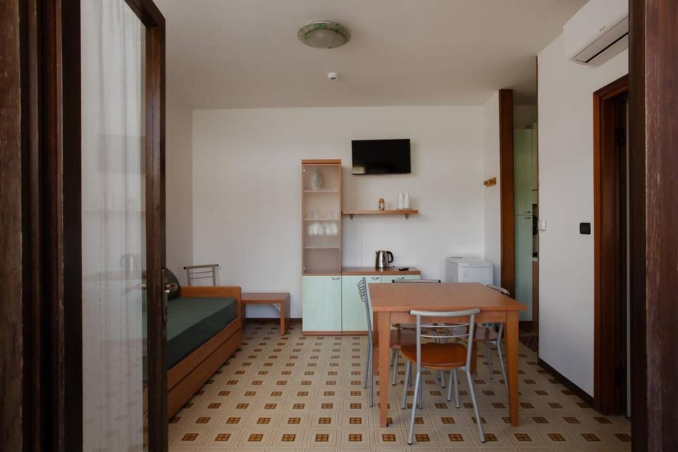 Communal lounge/ TV room, TV and multimedia, Kitchen or kitchenette, Living room, Seating area, Dining area, Evening entertainment, air conditioner