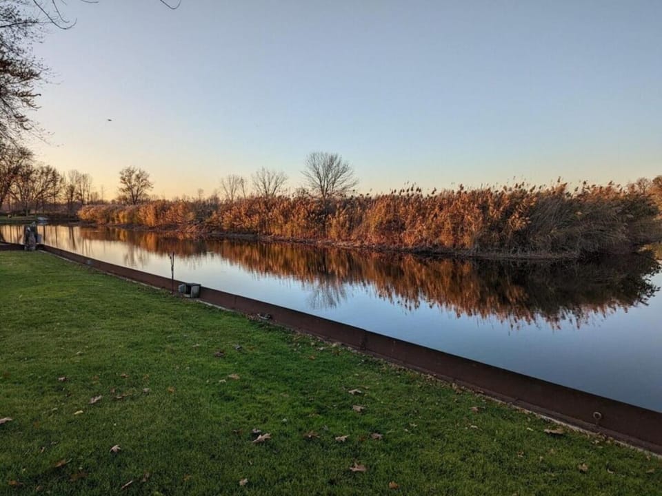 Lake view