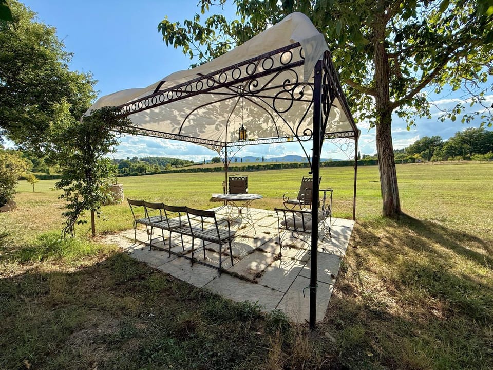 Patio, Natural landscape, Garden, Garden, Garden view