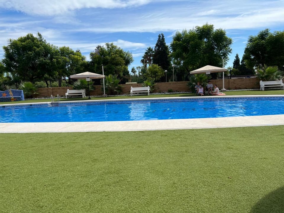 Garden, Pool view, Swimming pool