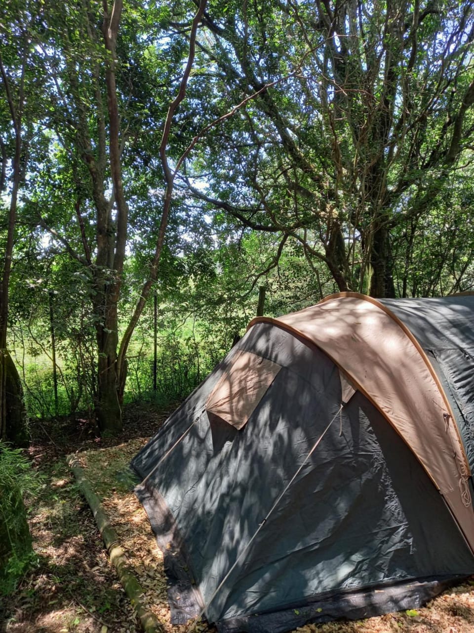Dargle campsite Campground/ 
RV Resort in KwaZulu-Natal
