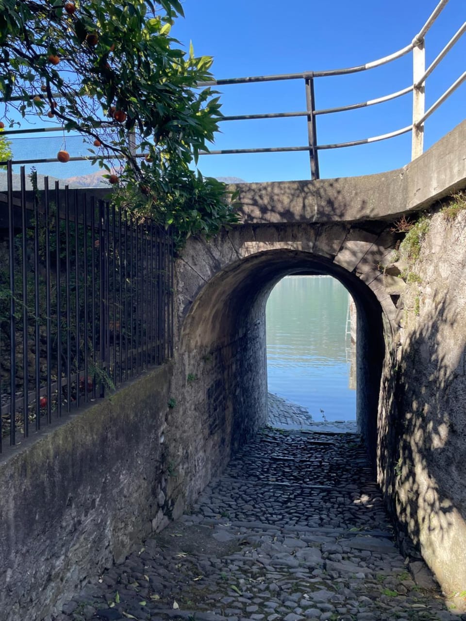La Casa Del Sole House in Mandello del Lario