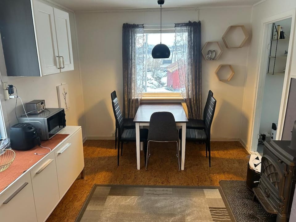 Tromsø, Lyngen, aurora borealis, ski, fishing Apartment in Troms Og Finnmark