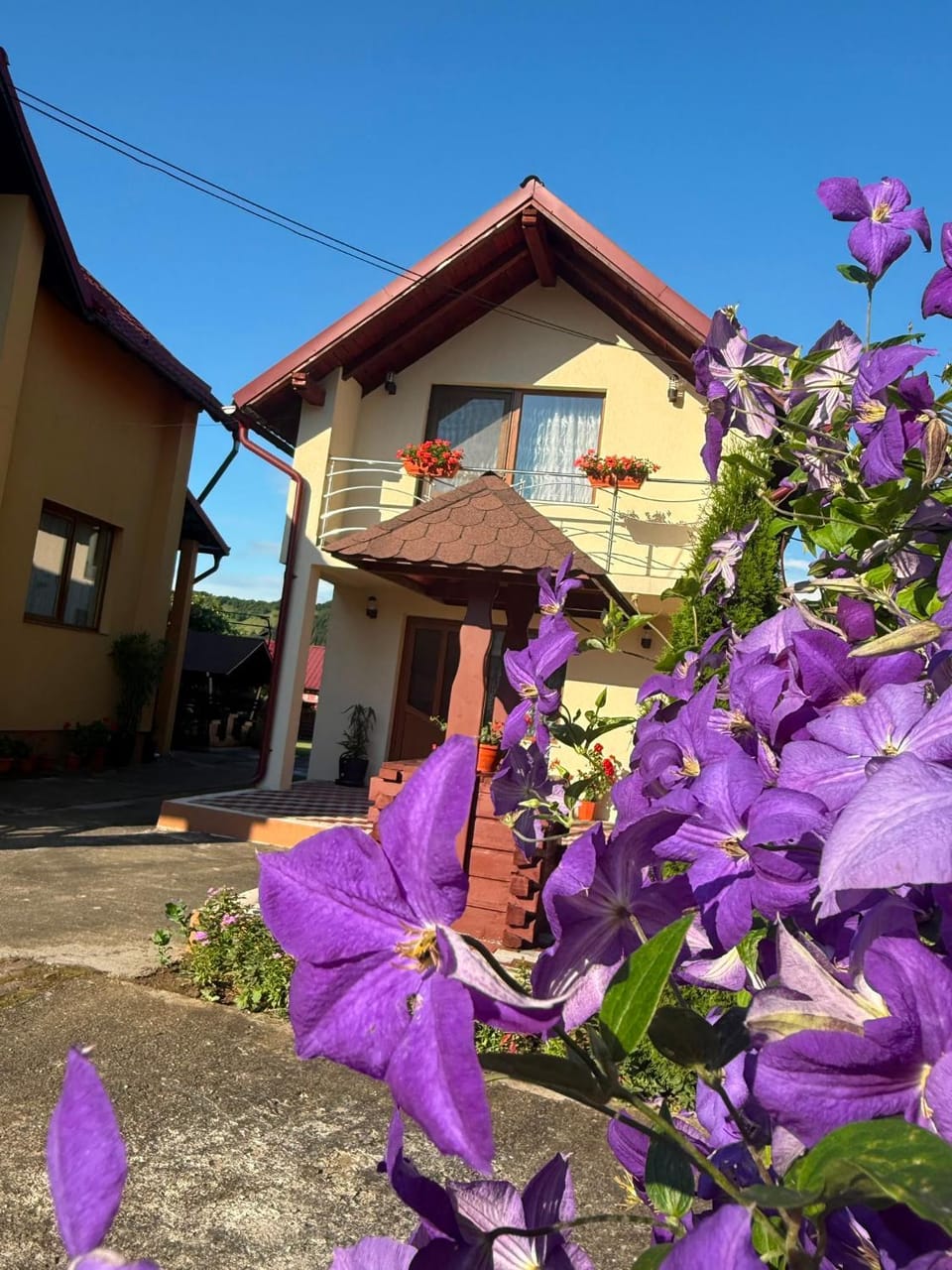 Pensiunea Popan Bed and Breakfast in Romania