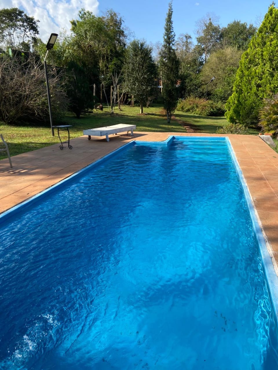 Garden, Swimming pool
