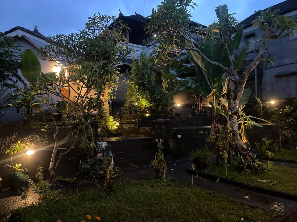 Night, Garden, Garden view
