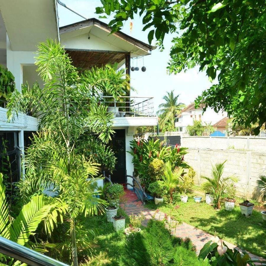 Property building, Garden, Garden view