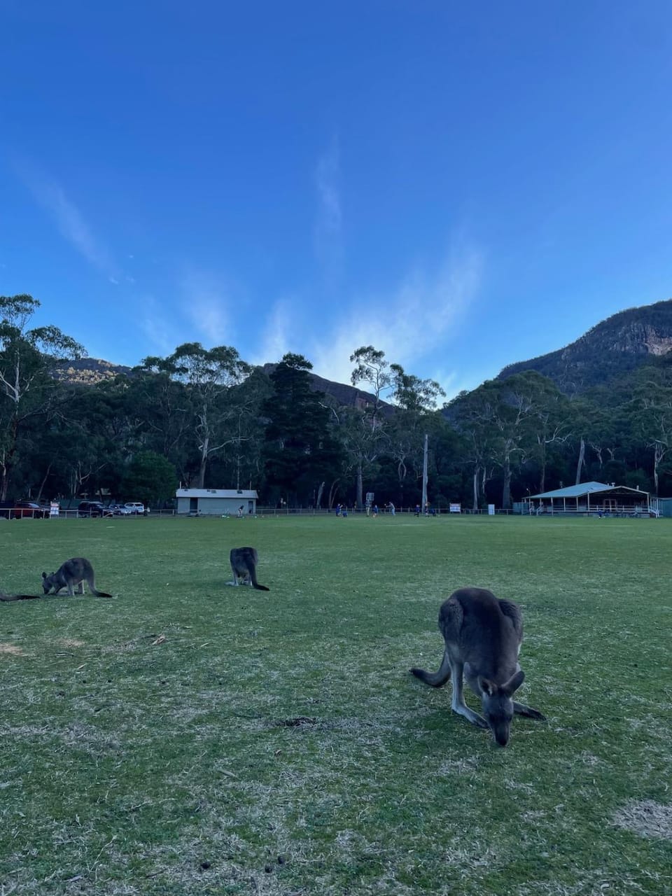 Kookaburra Retreat House in Halls Gap