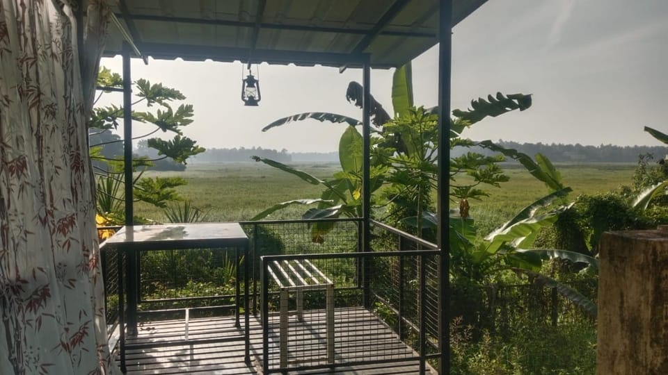 Garden, Garden view