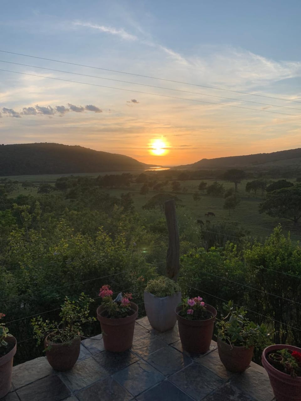Fish Eagle Cottage House in Eastern Cape