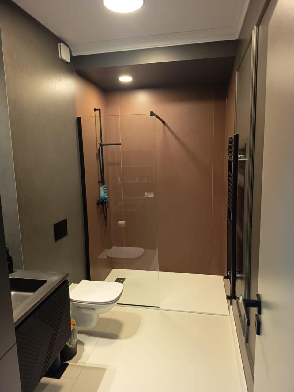 delux studio Apartment in Timisoara