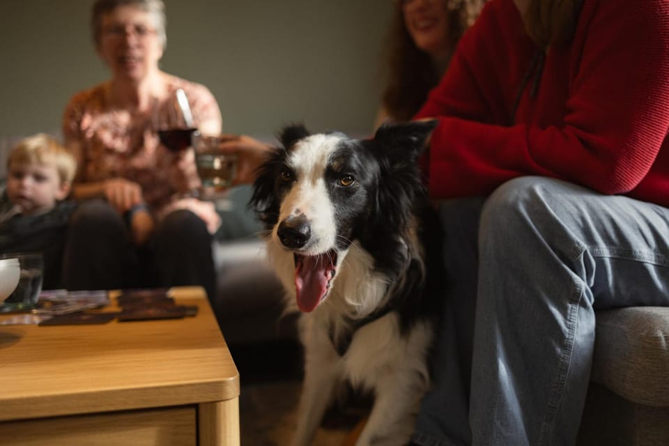 Le Hâvre de la Forêt House in Manhay