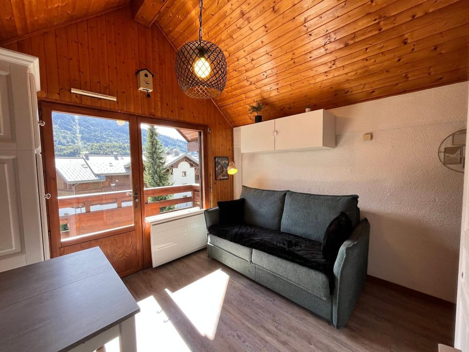 Studio cosy au centre de Samoëns, animaux acceptés - FR-1-624-183 Apartment in Samoëns
