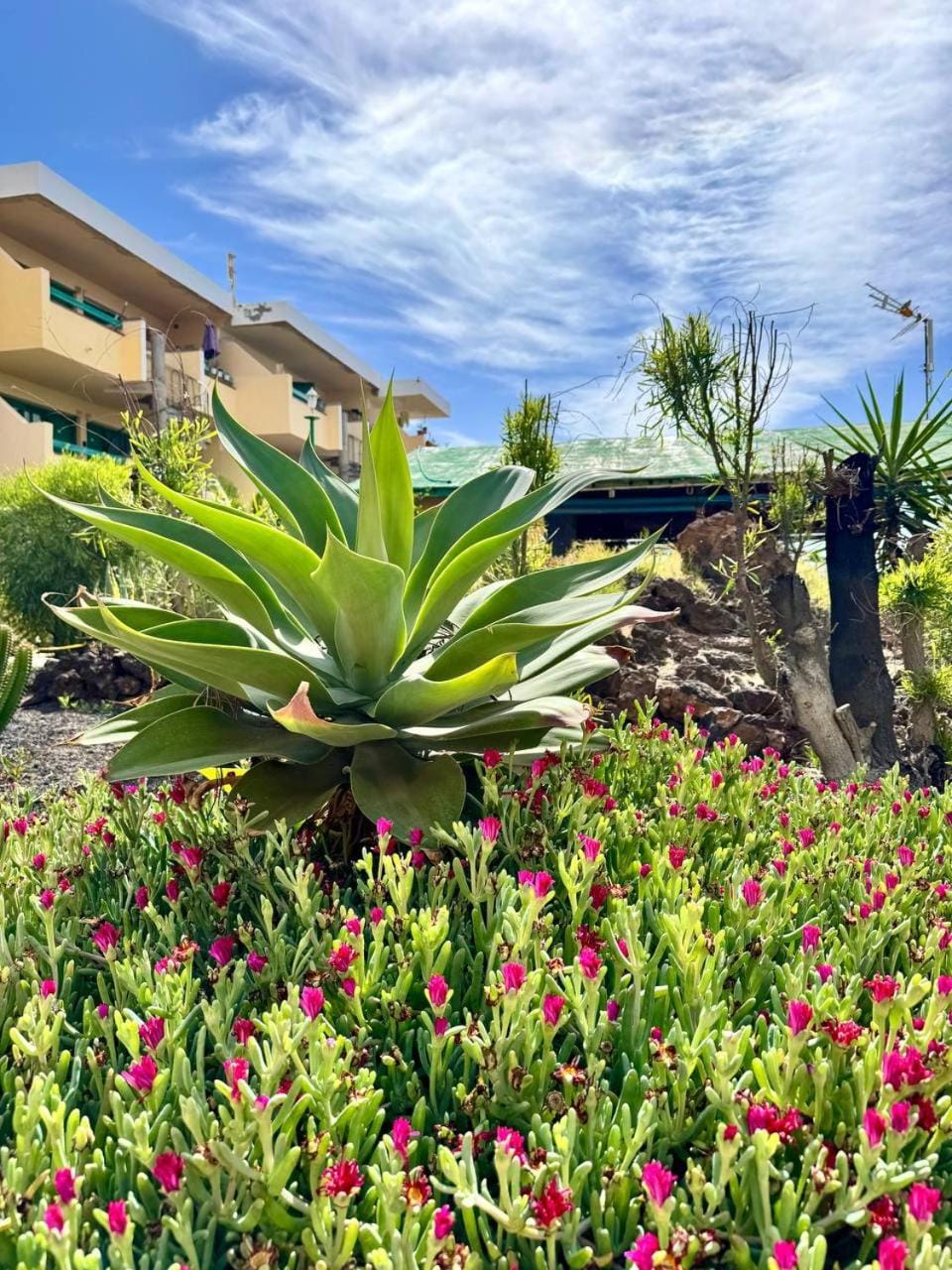 El amanecer Apartment in Maxorata