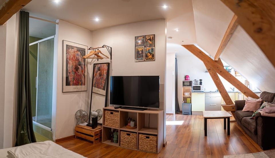 Les toits du Carteron Apartment in Annecy