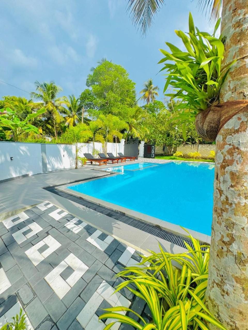 Day, Garden, Garden view, Pool view, Swimming pool, Swimming pool