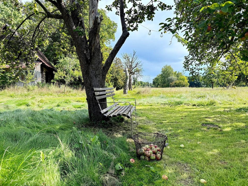 Nature Sonnentau Apartment in Burg