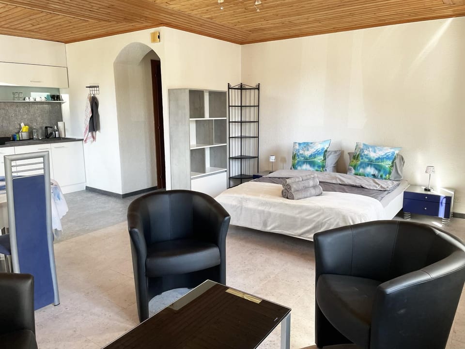 Bed, Kitchen or kitchenette, Living room, Seating area, Dining area