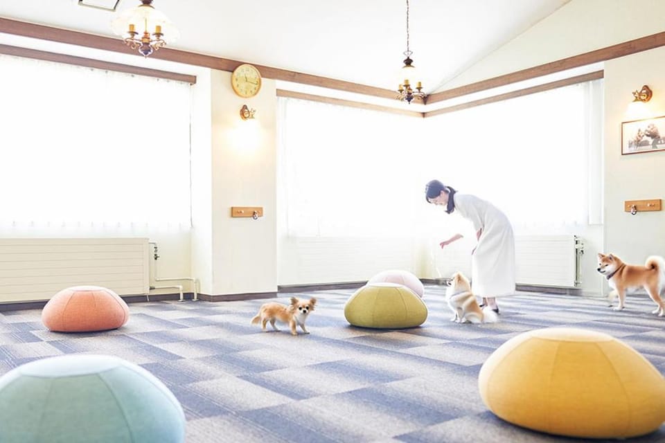 Area and facilities, pet friendly