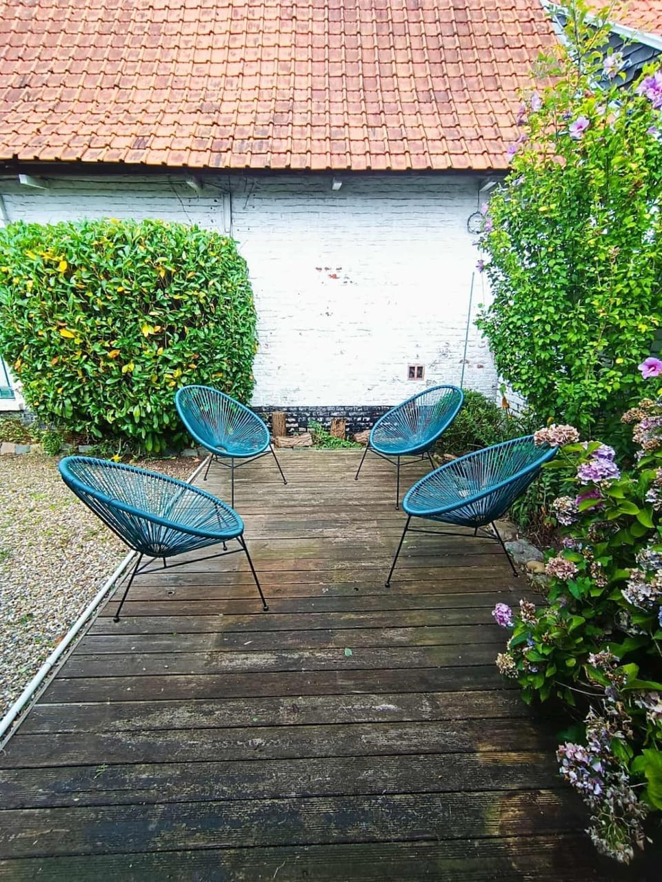 Patio, Garden, sunbed