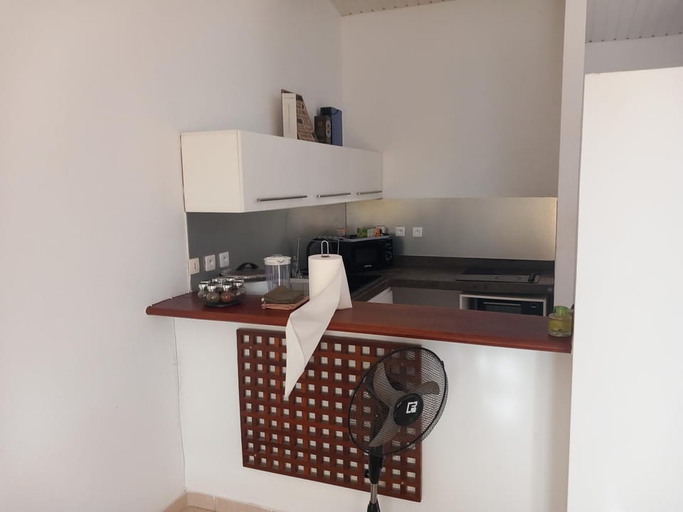 Le Gold Space Apartment in Cayenne