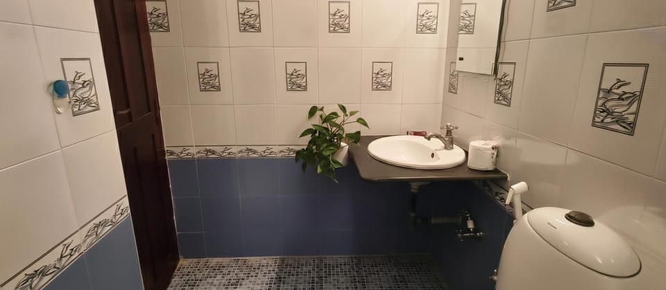 Toilet, Bathroom, towels