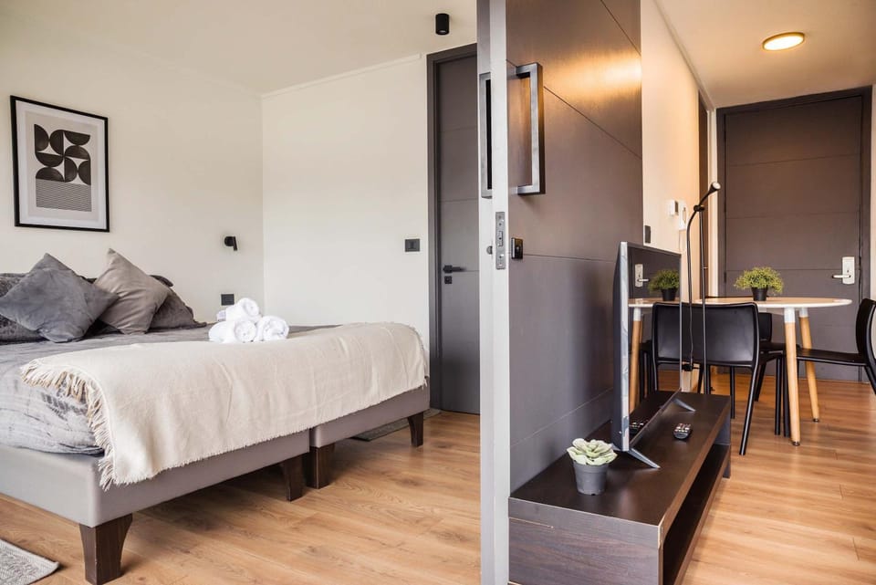 Spacious 2B apartment steps from Escuela Militar Apartment in Providencia
