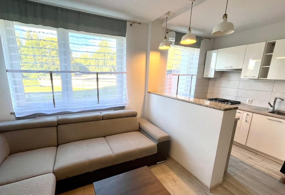 Kitchen or kitchenette, Living room, Seating area