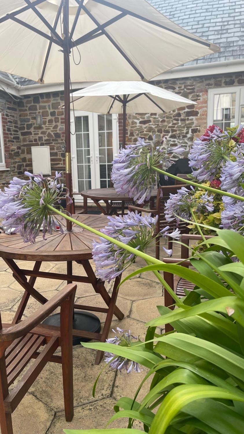 Patio, Balcony/Terrace