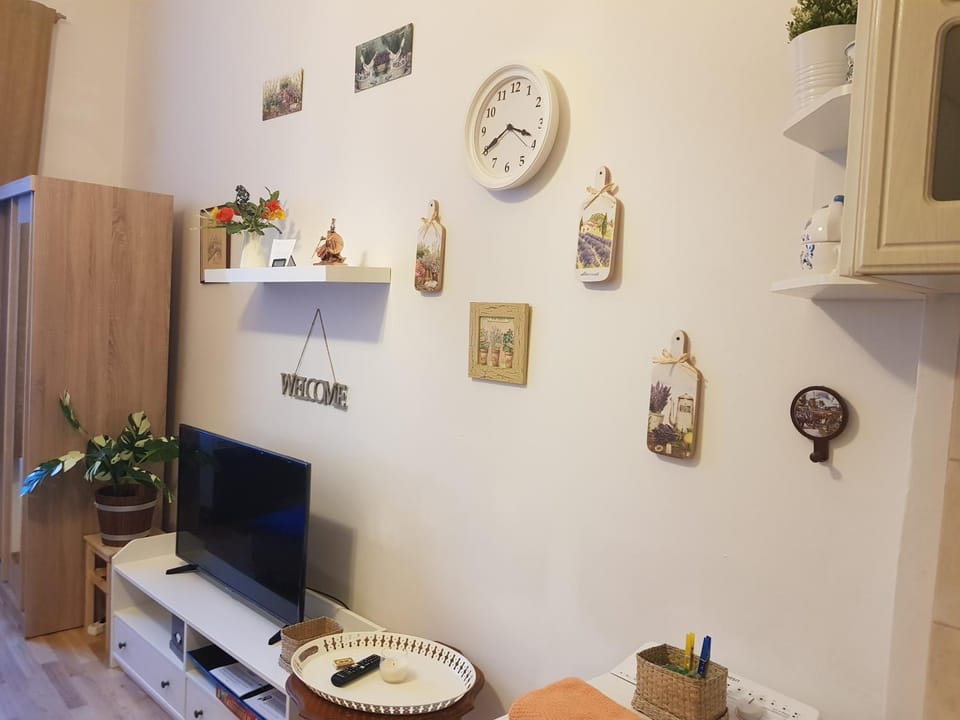TV and multimedia