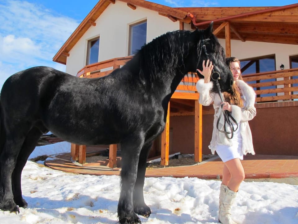 Horse-riding