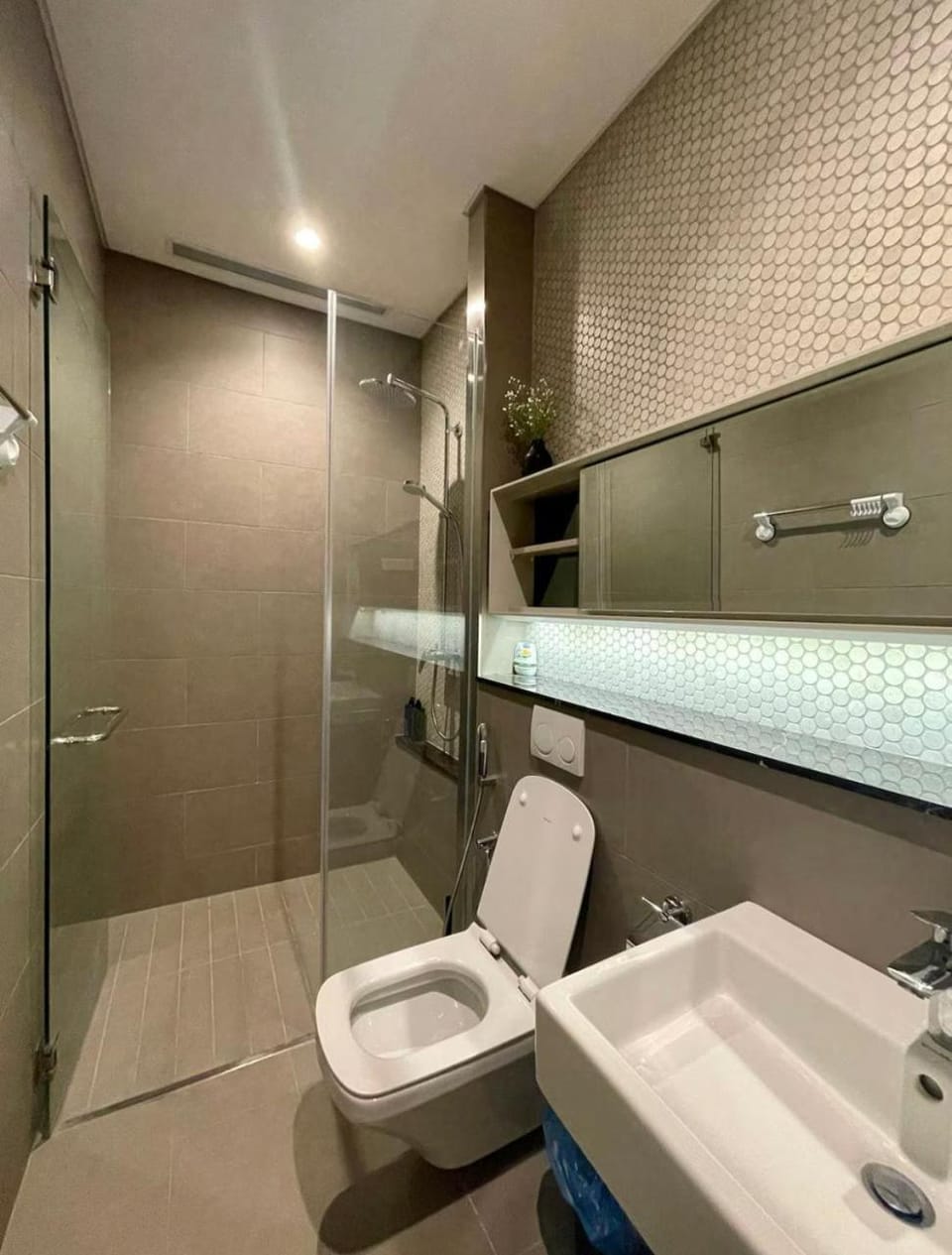 Shower, Toilet