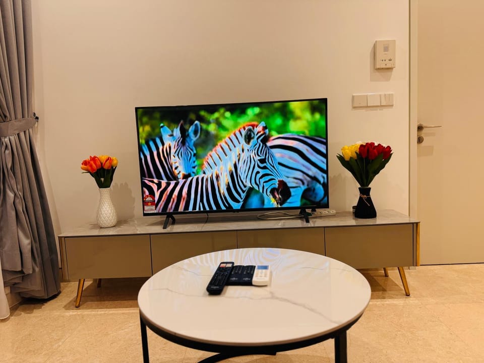 Communal lounge/ TV room, TV and multimedia