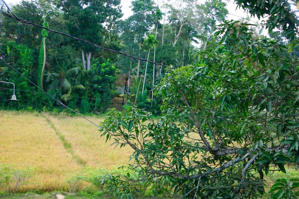 Natural landscape, Garden view