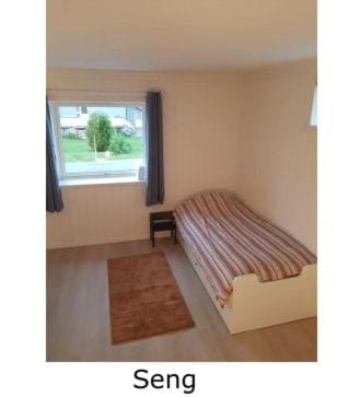 Trivelig leilighet for 1 person Apartment in Nordland, Norway
