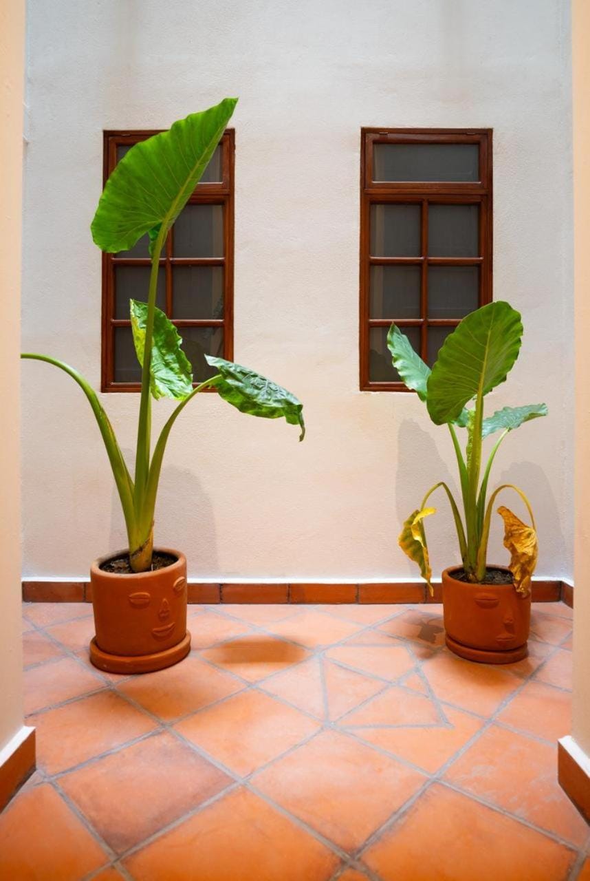 DH7 Best ROOM in heart of Zocalo Cute, quite and located Apartment in Mexico City