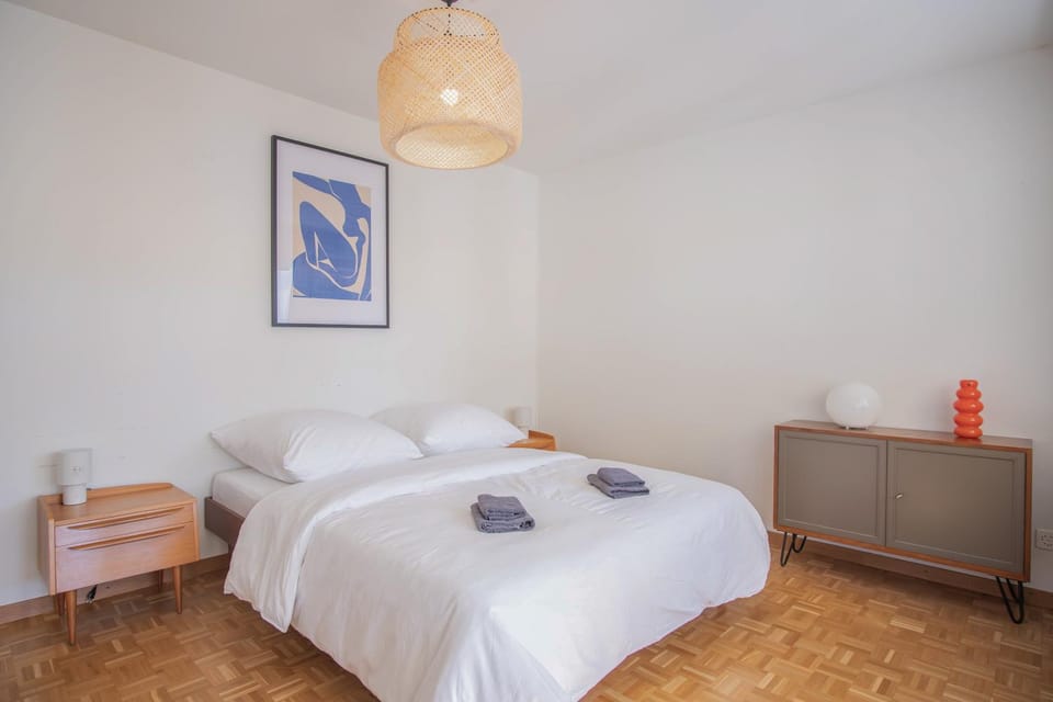 Top floor apartment with two terraces and BaselCard Apartment in Basel