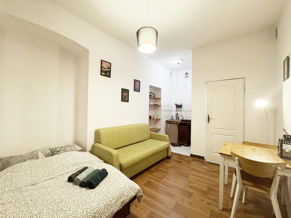 Cozy Asnyka Apartment in Krakow